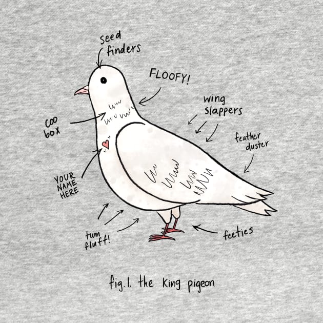 Anatomy of a Pigeon by Palomacy